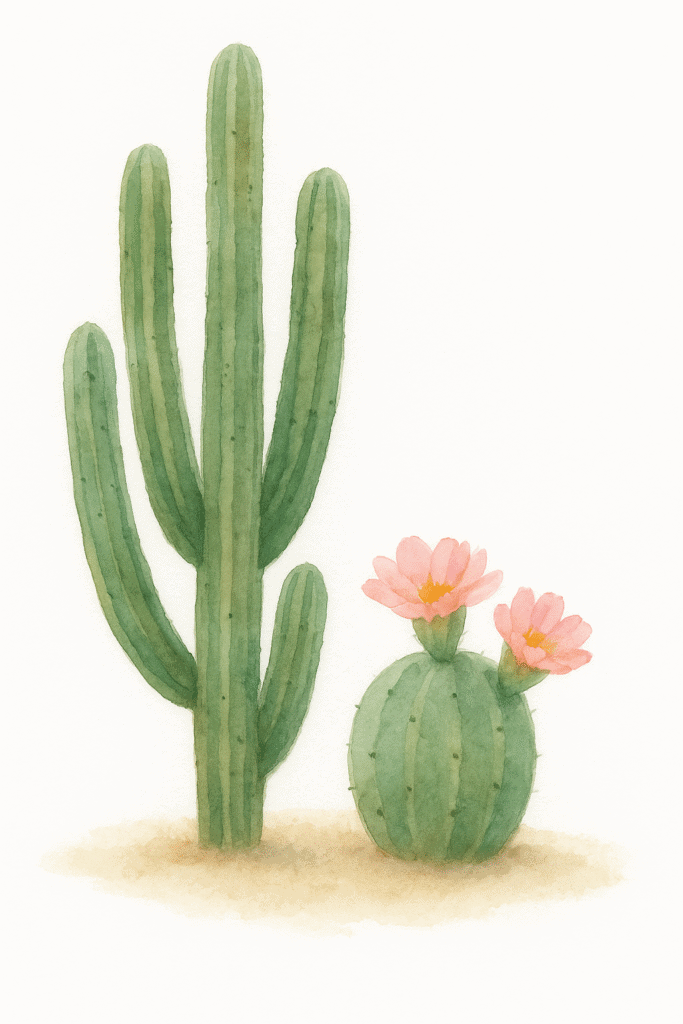 טיפול CBT - עיצוב אתר